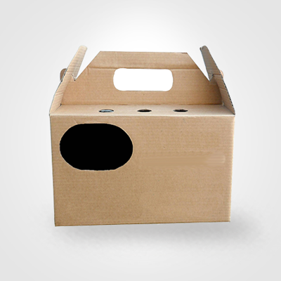 Cajas de embalaje de mascotas impresas personalizadas